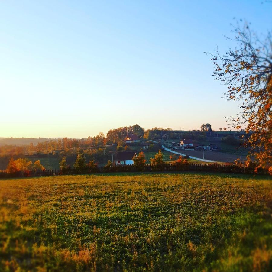 Odmor Na Selu Babajic Ljig Exterior foto