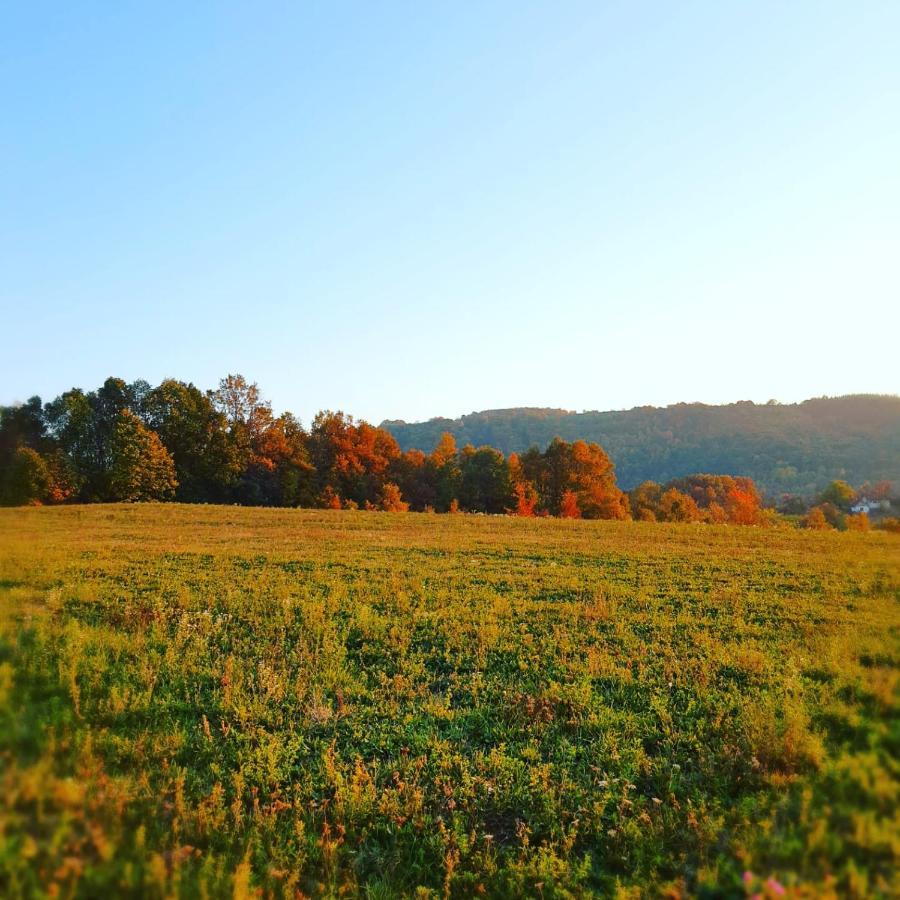 Odmor Na Selu Babajic Ljig Exterior foto