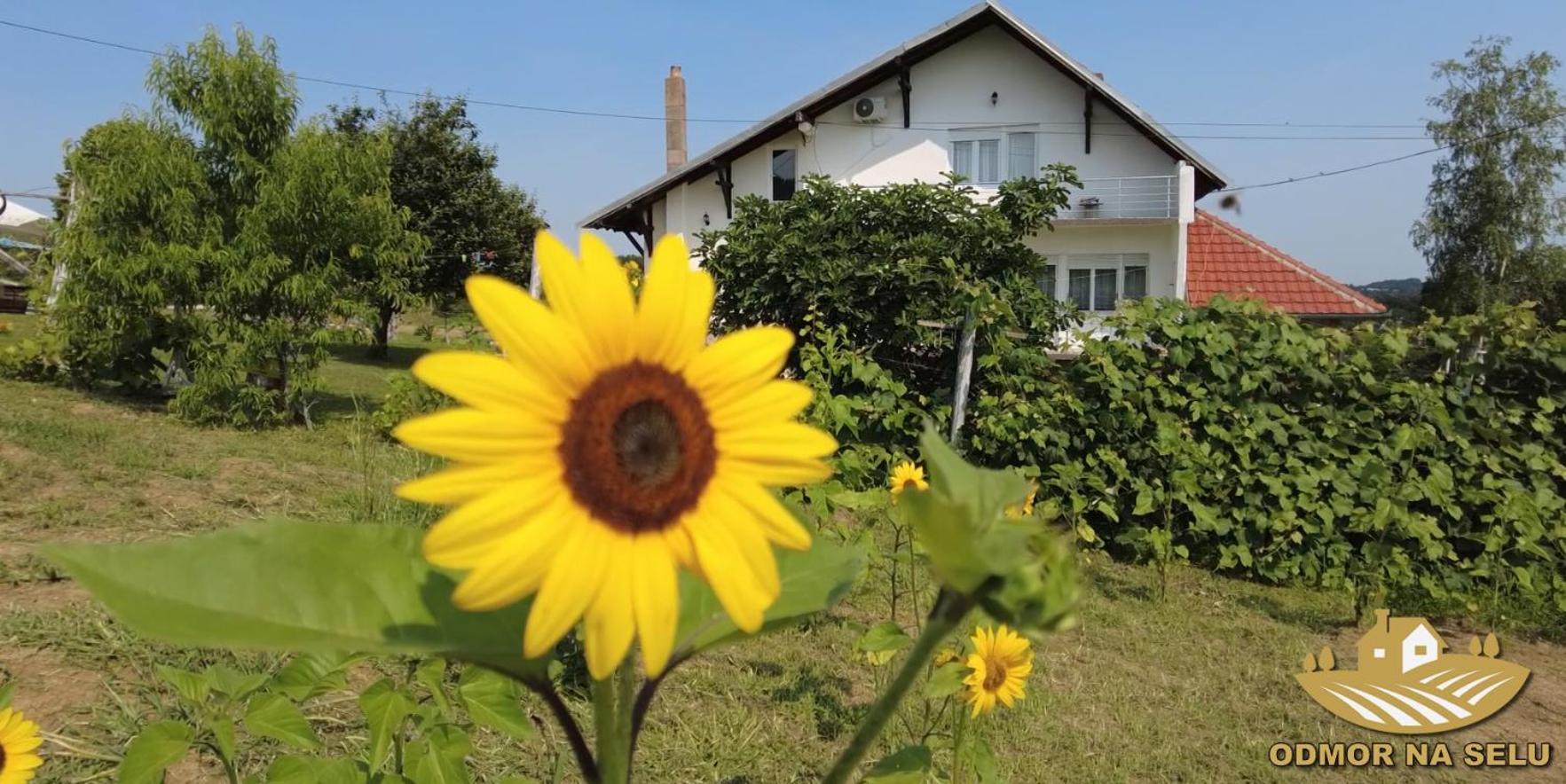Odmor Na Selu Babajic Ljig Exterior foto